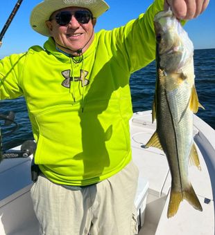 Great Day Fishing for Snook in Cape Coral!